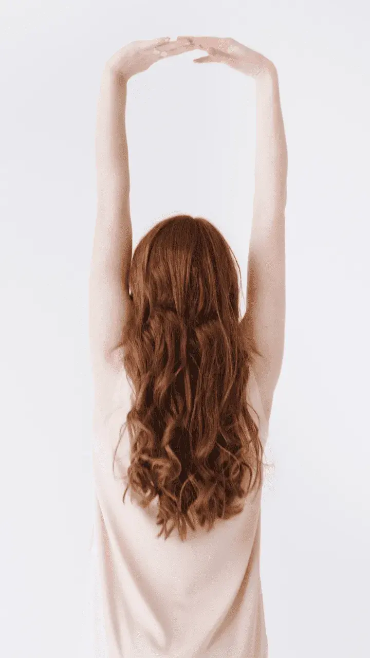 Extensiones